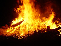 firefox19