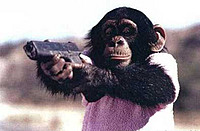 monkey feet