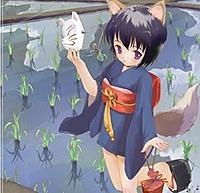 Nin nin the fox