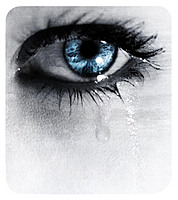 Shy Tears