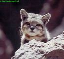 Cutie856