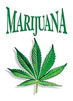 Im Stoned