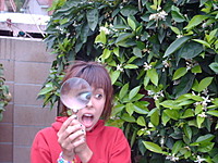jessvas