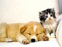 cathie123