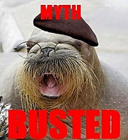 Goregash