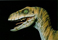 BLOODY_RAPTOR