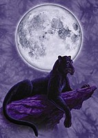 jaguargandi