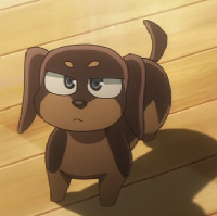 coolcata