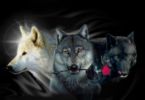 Animal Heros of Inca