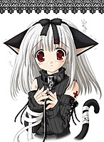 xBlack Catx