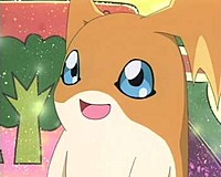 Willow314