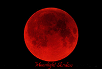 ~Moonlight_Shadow~