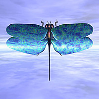 Drag0nfly
