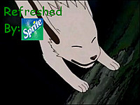 Narutofan205