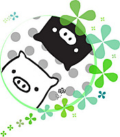 Zakkun
