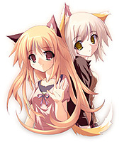 tokicat_himeko