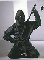 Le_Ninja