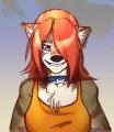 Niota