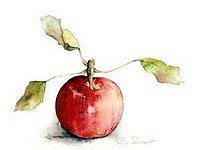 Pomum
