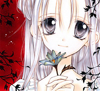 FMAotaku101