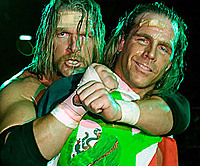 HBK313
