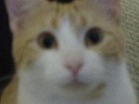 Mubaneo