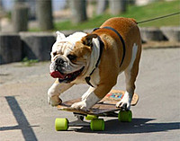 Howie_rocks!
