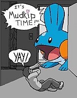 mudkip1