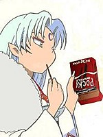 Lord Sesshomaru