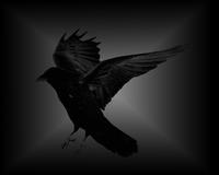 Darkbird's Avatar