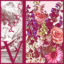 Veshy