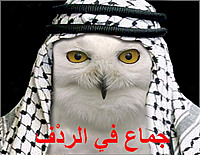 OWLMASTER