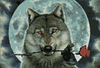 OkamiKoTheWolfChild