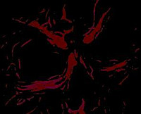 Nothing_but_a_shadow