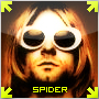 Spiderzbr
