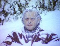 SnowflakeG