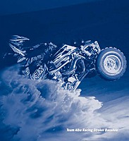 banshee101