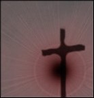 New.Abortion
