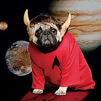 Magoopugly