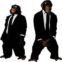 xtreme monkey9577