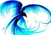 CoolHarri1