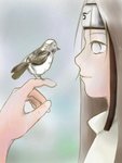 Little Bird