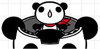 Panda Z