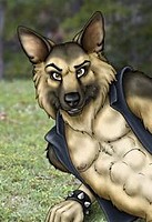 Raydes