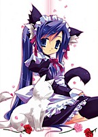 cutekat45