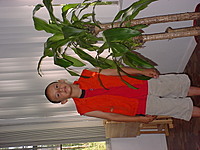 tornado1