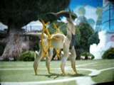 Solar Solstice