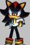 TS Shadow