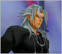Xemnas XIII