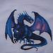 dragonshield